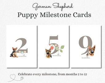 German Shepherd Puppy Milestone Cards – Months 2 to 12 | Printable or Digital Use