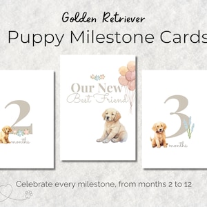 Cartões comemorativos para filhotes de Golden Retriever | Imprimíveis para filhotes | Presente para mamãe de cachorro | Adereços para fotos e aniversário de filhotes