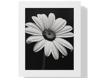 Black and White Daisy Print Wall Art, Framed Botanical Flower Photography, Minimalist Floral Picture for Home Decor