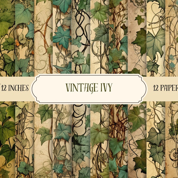 Vintage Ivy Border Designs, Vintage Ivy Paper, Digital Paper, Instant Downloads