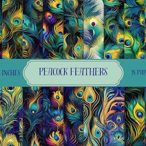 Peacock Feathers, Digital Papers, Instant Download, Peacock Craft Ideas