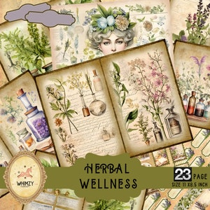 Herbal Wellness Junk Journal Kit Kräuterjournal Apothekerjournal Wellness-Journal Papier Gesunder Journalhintergrund Inspirieren Journalismus Begabte