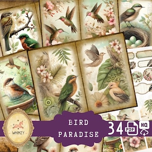 Vogel Junk Journal Kit (Ephemera, Tags, Taschen) Vintage Vogel Ovale Rahmen Nest Ei Shabby Chic Vogelparadies Digitales Papier Digitaler Download