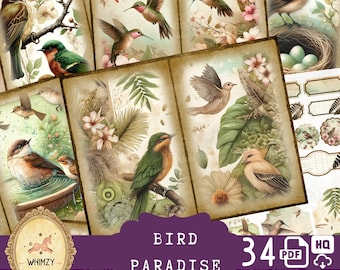 Kit de diario de aves basura / Efímeras de aves vintage / Nido y huevo imprimibles de estilo shabby chic