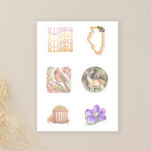 Hoja de pegatinas de Illinois / Símbolos del estado de Illinois / 6 calcomanías de pegatinas de vinilo cortadas con besos / pegatinas para portátiles / pegatinas de diario / pegatinas impermeables