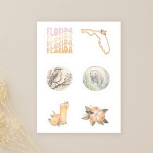 Foglio adesivi Florida / Simboli dello stato della Florida / 6 decalcomanie adesive in vinile Kiss-Cut / Adesivi per laptop / Adesivi per diari / Adesivi impermeabili