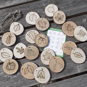 Discover Leaves & Seeds Set