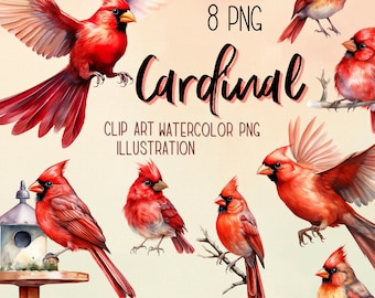 Watercolor Cardinal Bird Clipart: 8 PNG Images (Digital Download)