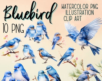 Watercolor Bluebird Clipart: 10 PNG Graphics (Digital Download)