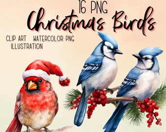 Watercolor Christmas Bird Clipart: Cardinal & Bluejay PNG (Digital Download)