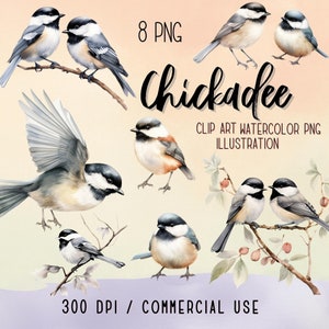 Aquarelle mésange PNG Clipart, papier, création artisanale, illustration, haute qualité, usage commercial, téléchargement numérique Transparent, 300 DPI