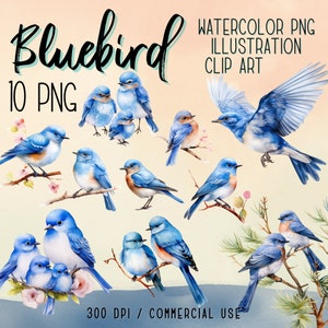 Imágenes prediseñadas de pájaro azul acuarela / Descarga instantánea / Descarga digital / Imágenes prediseñadas de animales / Uso comercial / Artesanía de papel digital / Impresión digital