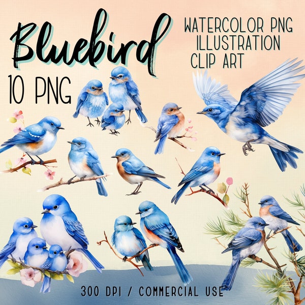 Watercolor Blue Bird Clipart  | Instant Download | Digital Download | Animal Clipart  | Commercial Use | Digital Paper Craft | Digital Print