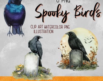 Halloween Crow Clipart | Watercolor Birds | Digital Download | Spooky Bird PNG | Commercial Use Art