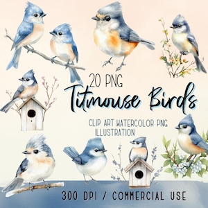 Aquarelle mésange PNG Clipart, papier, artisanat, illustration, 20 haute qualité, usage commercial, téléchargement numérique Transparent, 300 DPI