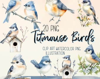 Watercolor Titmouse Bird Clipart: 20 PNG Illustrations (Commercial Use)