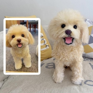 Custom Dog Plushie Clone | Life Size Dog Plushie | Personalize Dog Toy | Pet Clone