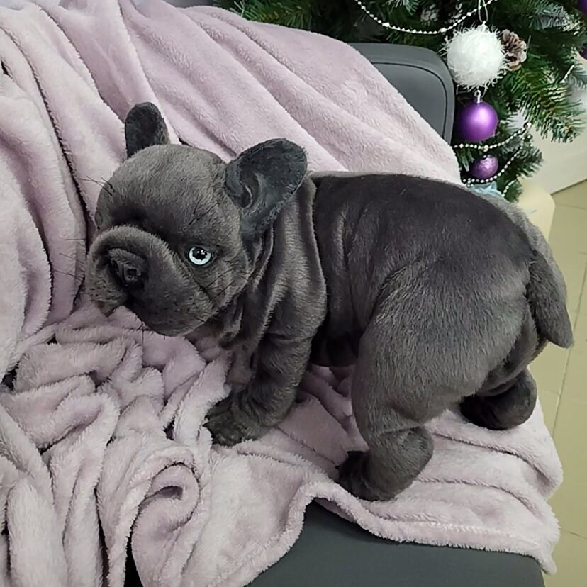 Realistic stuffed french bulldog sale