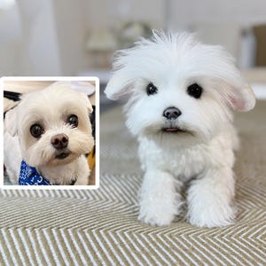 Custom Dog Plushie Clone | Life Size Dog Plushie | Personalize Dog Toy | Pet Clone