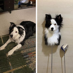 Lifelike Golf Driver Cover | Dog Head Golf Driver Head Covers | Suitable for Driver, 3-wood, 5-wood | Gift for Husband