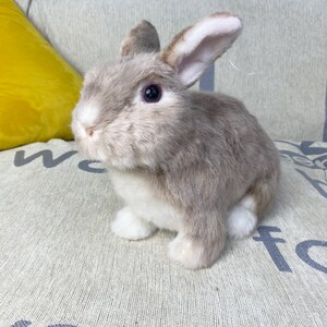 Clone Plastic Rabbit Realistic Rabbit Plush Clone Life Size Dog Plushie Personalize Dog Toy ...