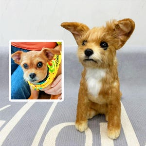 Custom Dog Plushie Clone | Life Size Dog Plushie | Personalize Dog Toy | Pet Clone