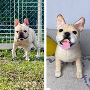 Custom Dog Plushie Clone | Life Size Dog Plushie | Personalize Dog Toy | Pet Clone