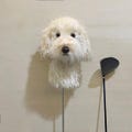 Doodle Dog Golf Club Cover | Doodle Golf Driver Head Covers | Suitable for Driver, 3-wood, 5-wood product logo