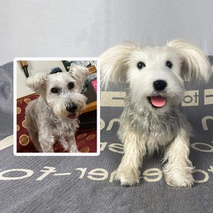 Custom Dog Plushie Clone | Life Size Dog Plushie | Personalize Dog Toy | Pet Clone