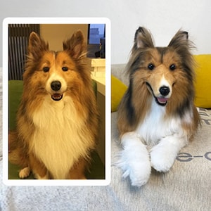 Custom Dog Plushie Clone | Life Size Dog Plushie | Personalize Dog Toy | Pet Clone