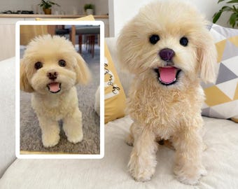 Custom Dog Plushie Clone | Life Size Dog Plushie | Personalize Dog Toy | Pet Clone