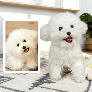 Custom Dog Plushie Clone | Life Size Dog Plushie | Personalize Dog Toy | Pet Clone
