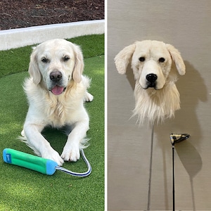 May include: A Golden Retriever dog lies on green turf next to a green and blue dog toy. To the right, a golf club is topped with a plush dog head cover, mimicking the dog's appearance. The dog head cover is white and fluffy.
