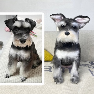 Custom Dog Plushie Clone | Life Size Dog Plushie | Personalize Dog Toy | Pet Clone