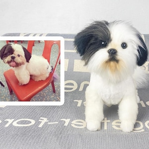Custom Dog Plushie Clone | Life Size Dog Plushie | Personalize Dog Toy | Pet Clone