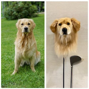 Könnte beinhalten: Ein Golden Retriever sitzt auf grünem Gras neben einem Golfschläger mit einer Hunde-Schlägerhaube. Die Schlägerhaube hat die Form eines Golden Retriever-Kopfes.