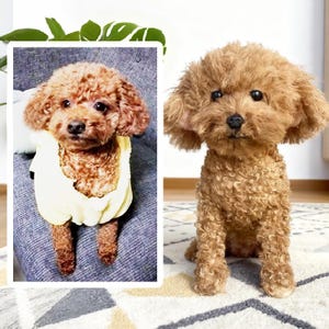 Custom Dog Plushie Clone | Life Size Dog Plushie | Personalize Dog Toy | Pet Clone