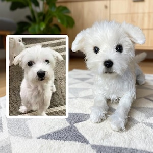 Custom Dog Plushie Clone | Life Size Dog Plushie | Personalize Dog Toy | Pet Clone