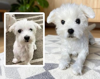 Custom Dog Plushie Clone | Life Size Dog Plushie | Personalize Dog Toy | Pet Clone