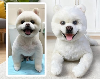 Custom Dog Plushie Clone | Life Size Dog Plushie | Personalize Dog Toy | Pet Clone