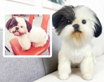 Custom Dog Plushie Clone | Life Size Dog Plushie | Personalize Dog Toy | Pet Clone