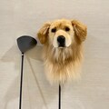 Golden Retriever Dog Golf Driver Cover | Ready-made Golden Dog Golf Club Cover | Dog Head Club Cover | Animal Golf Headcover product logo