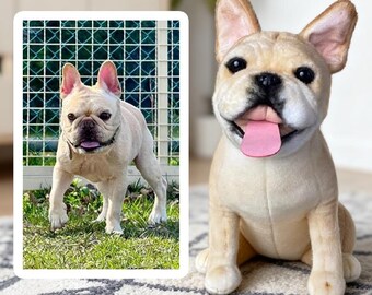 Custom Dog Plushie Clone | Life Size Dog Plushie | Personalize Dog Toy | Pet Clone