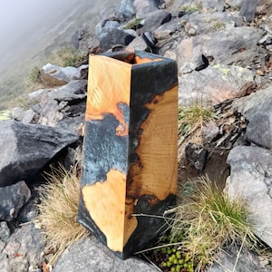 EpoxyWood Vase