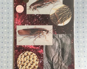 Space Cockroach A4 Print