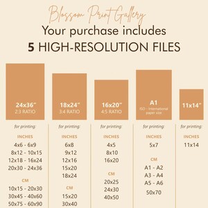 May include: A graphic with the text "Blossom Print Gallery" and "Your purchase includes 5 HIGH-RESOLUTION FILES." It lists print sizes in inches and centimeters, including 24x36, 18x24, 16x20, A1, and 11x14.