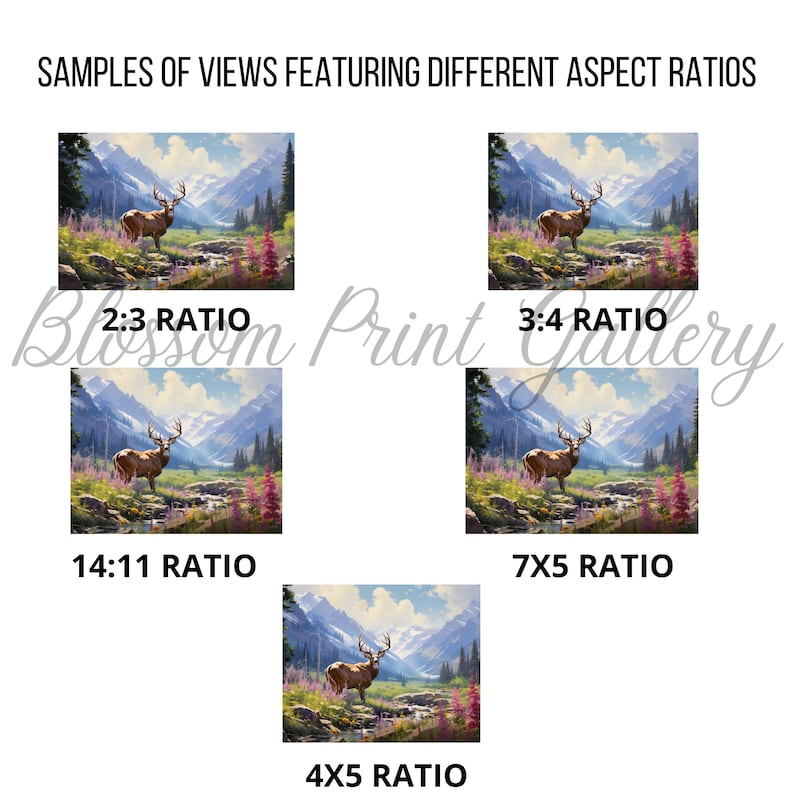 May include: An image showcasing landscape art prints with different aspect ratios. Each print features a majestic elk in a mountain scene with a river and colorful flowers. The text "Blossom Print Gallery" is also visible.