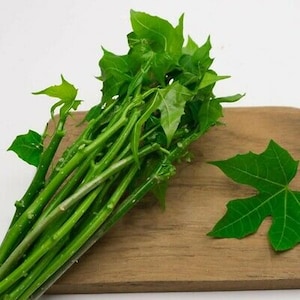 May include: A bundle of fresh green Chaya leaves and stems, a leafy vegetable, displayed on a wooden cutting board. The leaves are a vibrant green, with a distinctive lobed shape. The stems are long and slender, with a light green color. The background is a plain white.