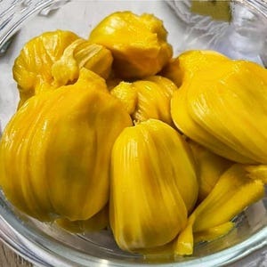May include: A clear glass bowl filled with bright yellow jackfruit segments. The fruit has a textured, fleshy appearance and is arranged in a close-up shot, highlighting its vibrant color and form.