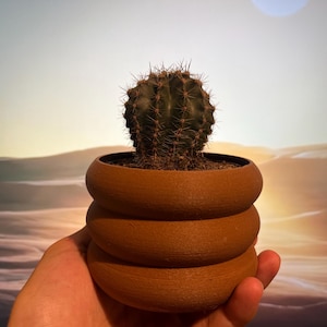 Könnte beinhalten: Eine kleine grüne Kaktuspflanze in einem braunen, dreistufigen Keramiktopf. Der Topf hat eine abgerundete Form und eine strukturierte Oberfläche.